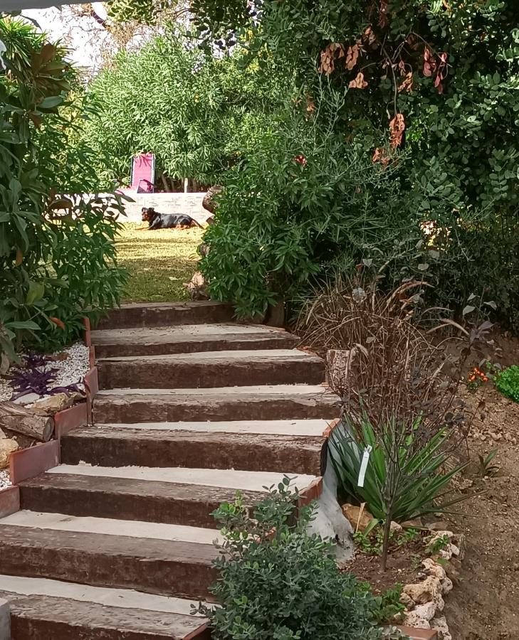 Tottam Art & Healthy Garden Villa Málaga Eksteriør bilde