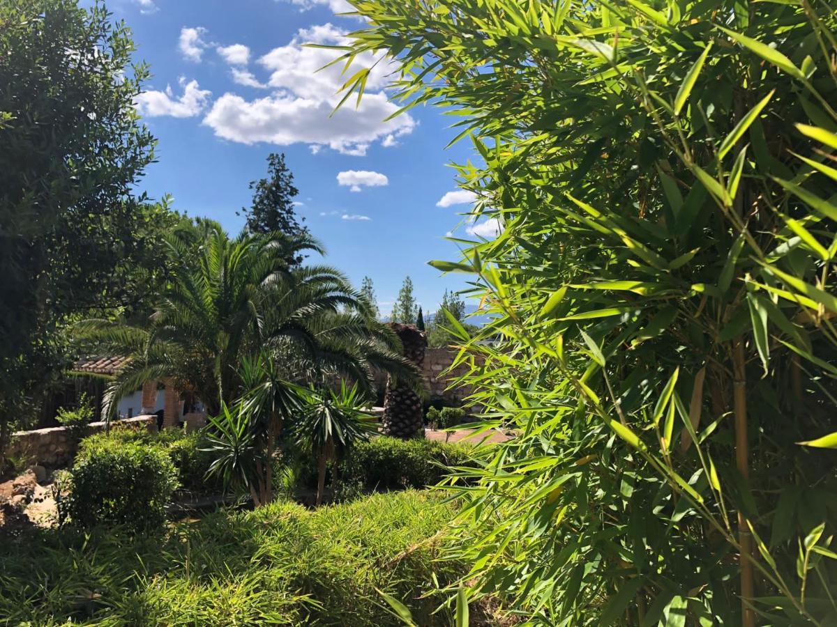 Tottam Art & Healthy Garden Villa Málaga Eksteriør bilde