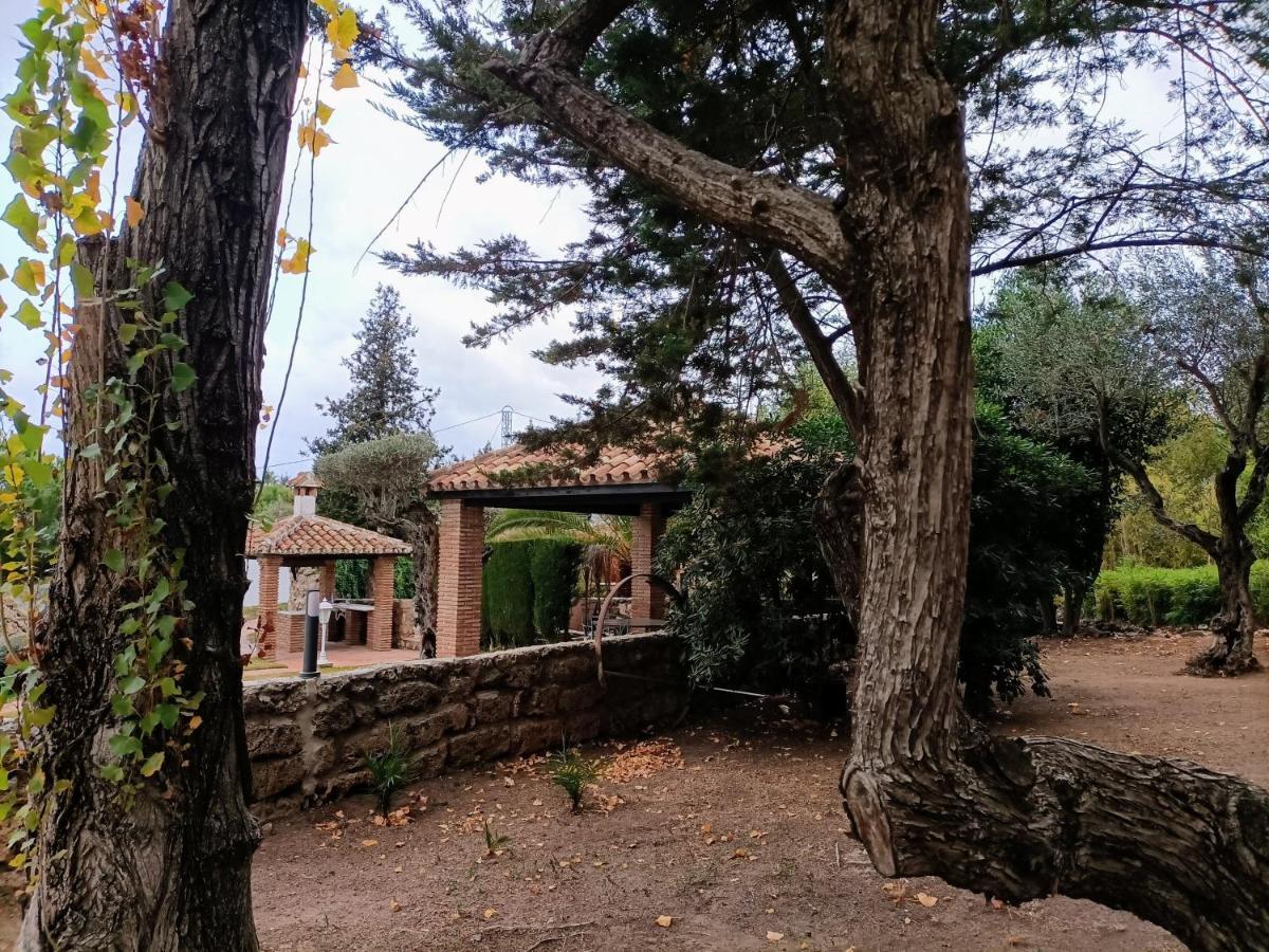 Tottam Art & Healthy Garden Villa Málaga Eksteriør bilde