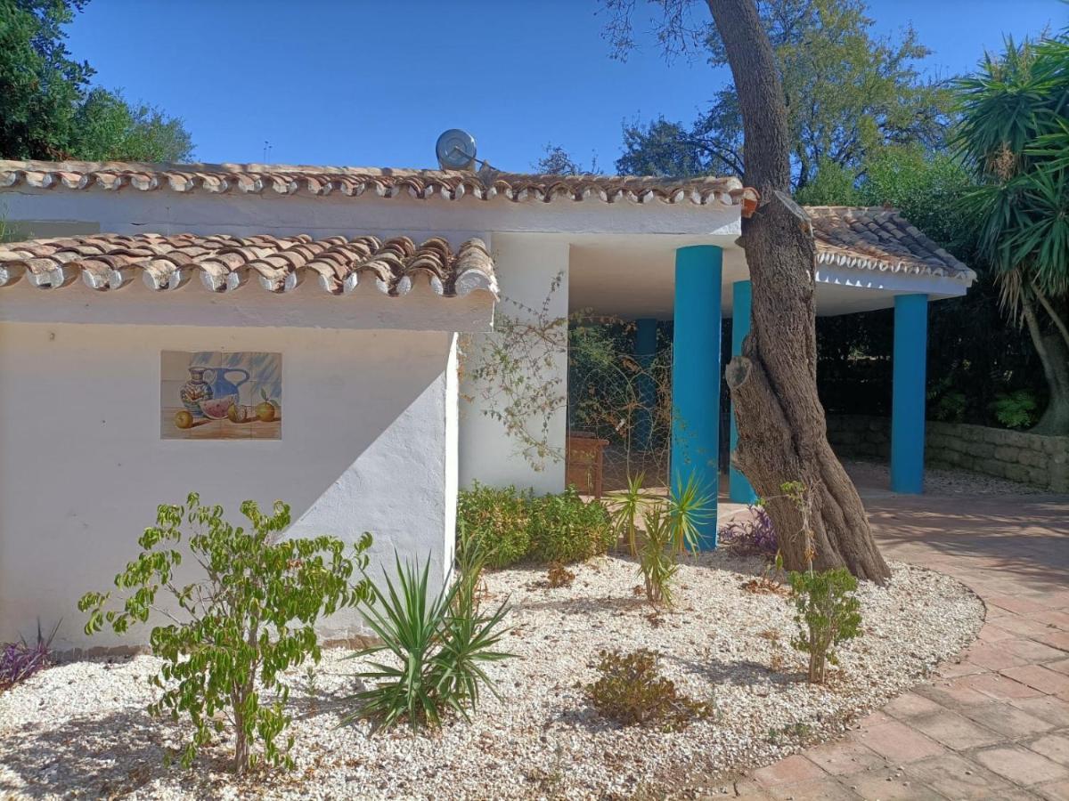 Tottam Art & Healthy Garden Villa Málaga Eksteriør bilde