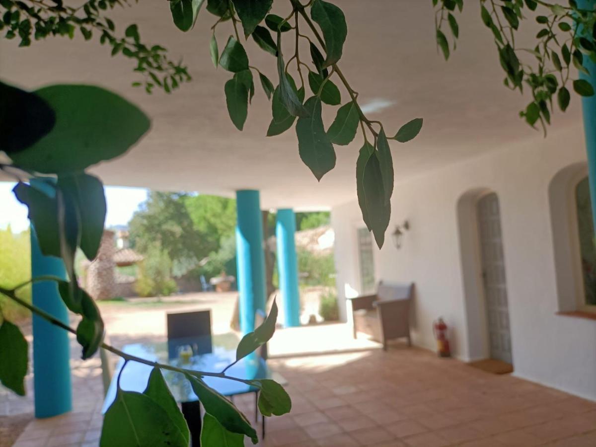 Tottam Art & Healthy Garden Villa Málaga Eksteriør bilde