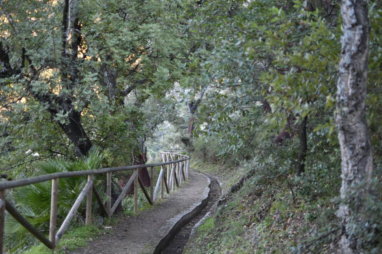 Tottam Art & Healthy Garden Villa Málaga Eksteriør bilde