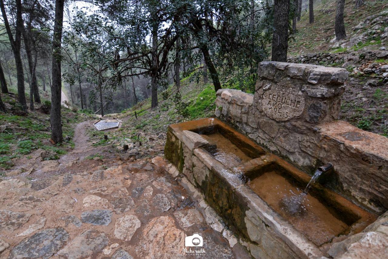 Tottam Art & Healthy Garden Villa Málaga Eksteriør bilde